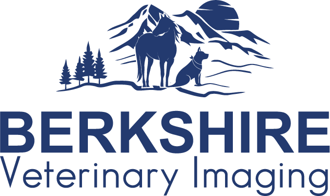 berkshire veterinary imaging logo